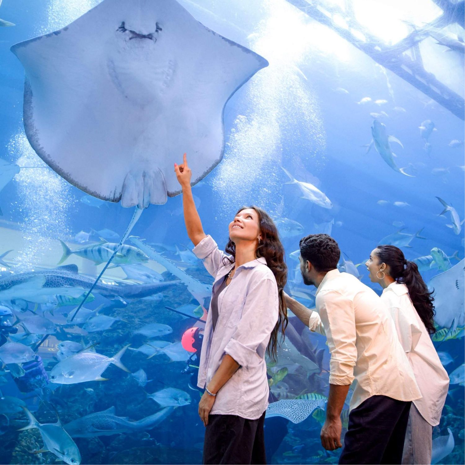 Dubai Aquarium & Underwater Zoo