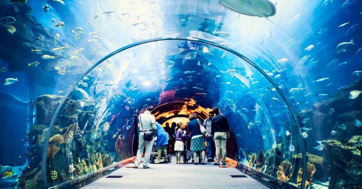 Dubai Mall & Aquarium